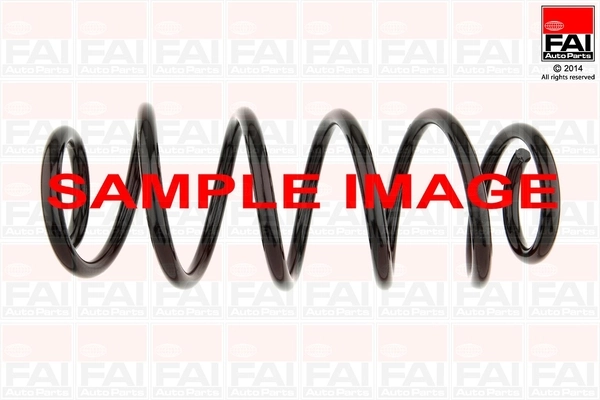 Suspension Spring